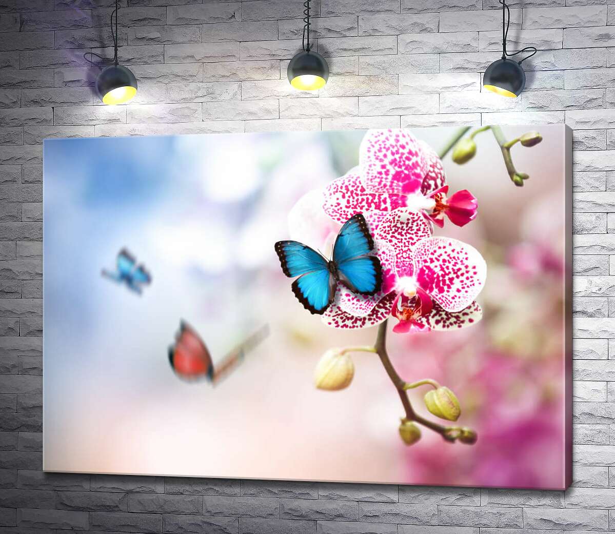 картина Яркая голубая бабочка на нежном цветке орхидеи