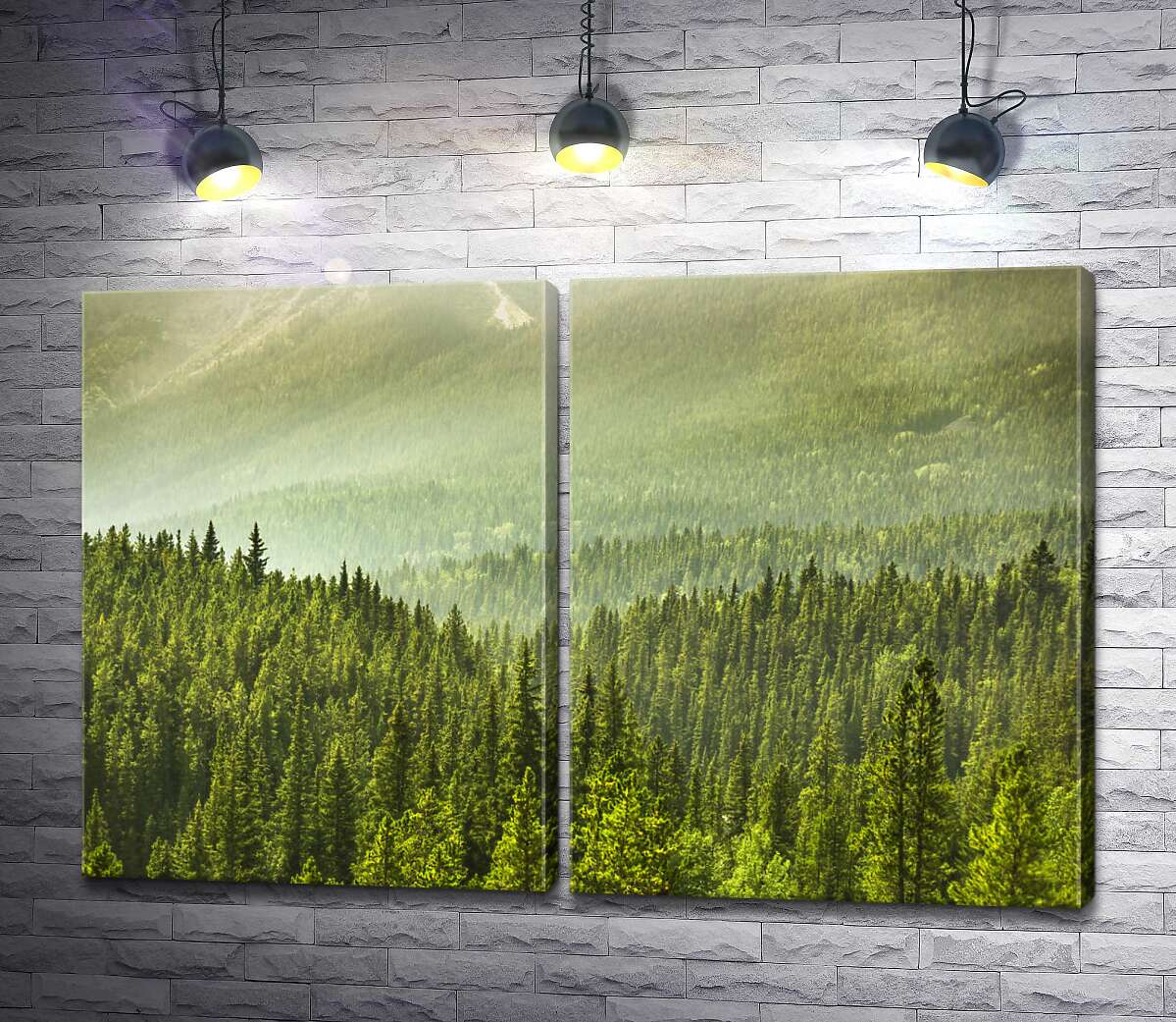 модульна картина Туманний серпанок над лісом в горах