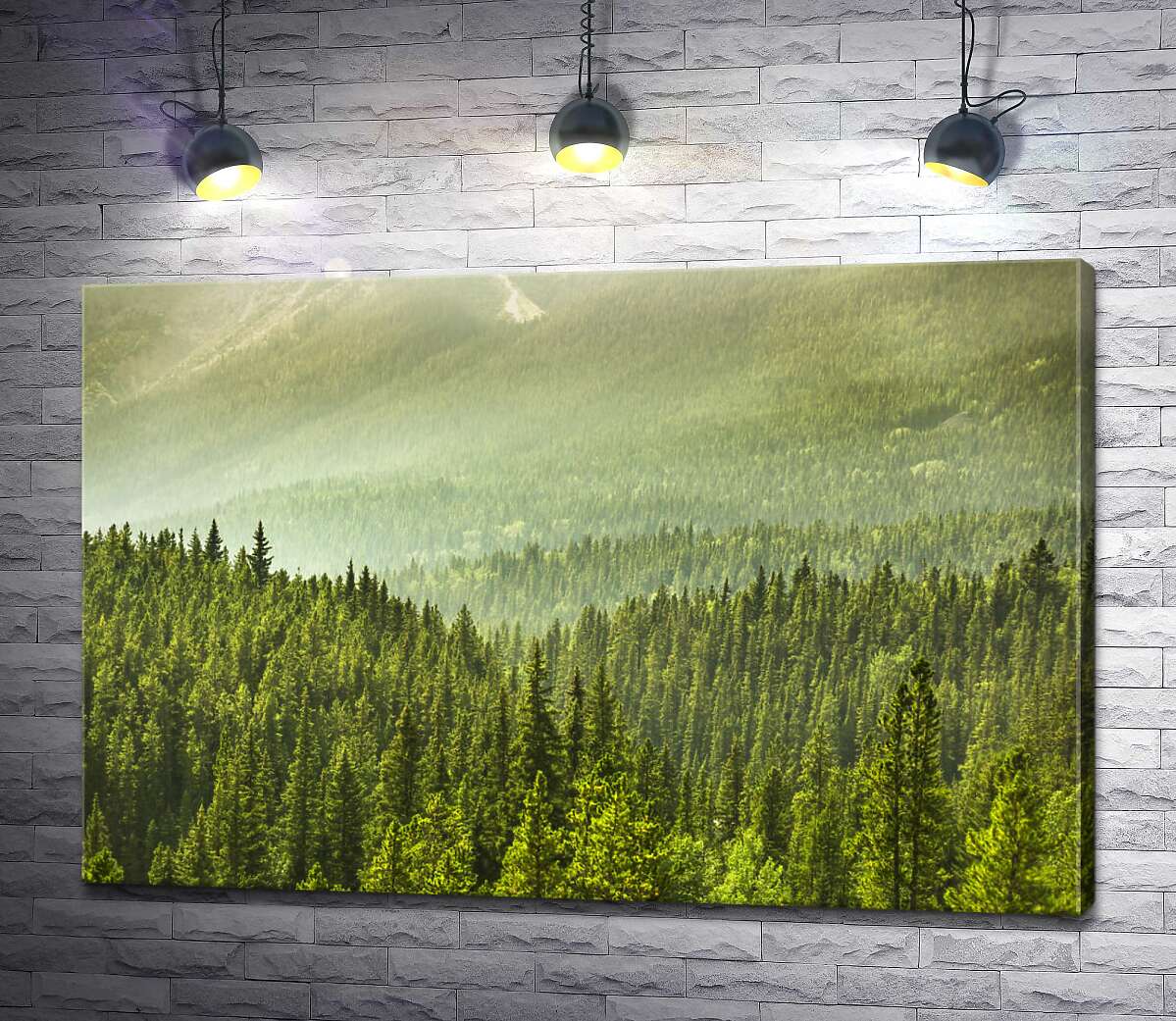 картина Туманний серпанок над лісом в горах