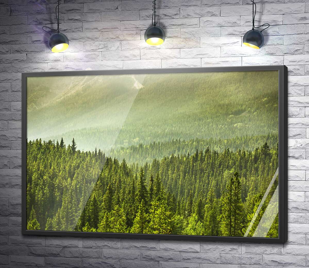 постер Туманная дымка над лесом в горах