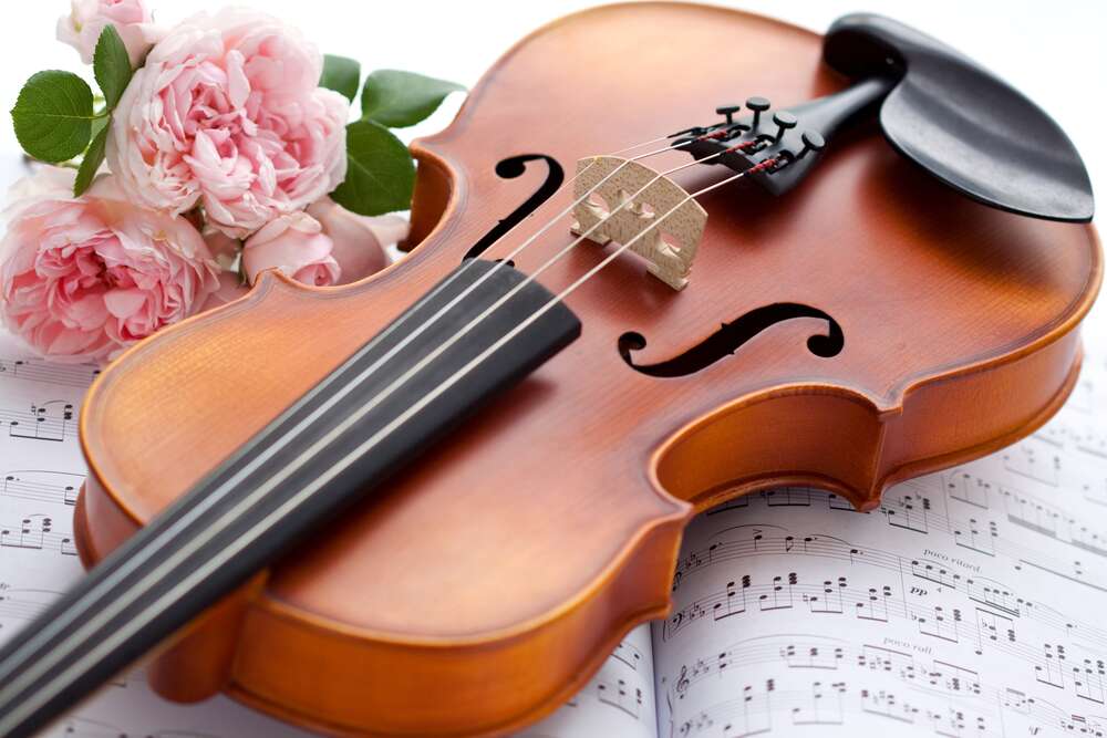 картина-постер Ніжні троянди і витончена скрипка