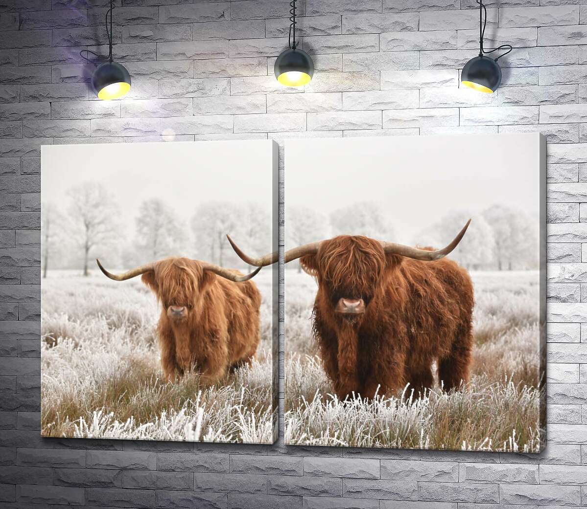 модульная картина Шотландские коровы в морозном поле