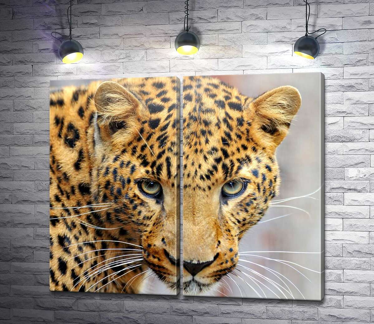 модульна картина Уважний погляд плямистого леопарда