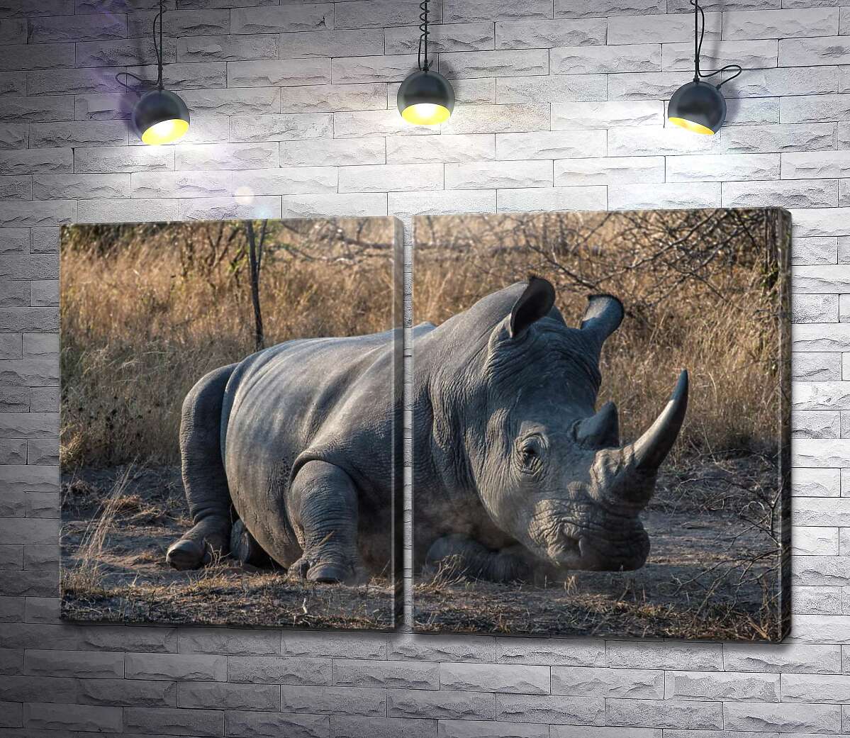 модульная картина Носорог отдыхает на земле