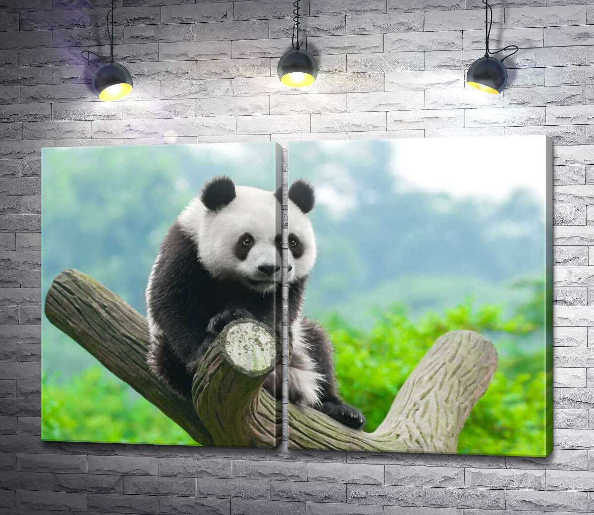 модульная картина Милая панда на ветке