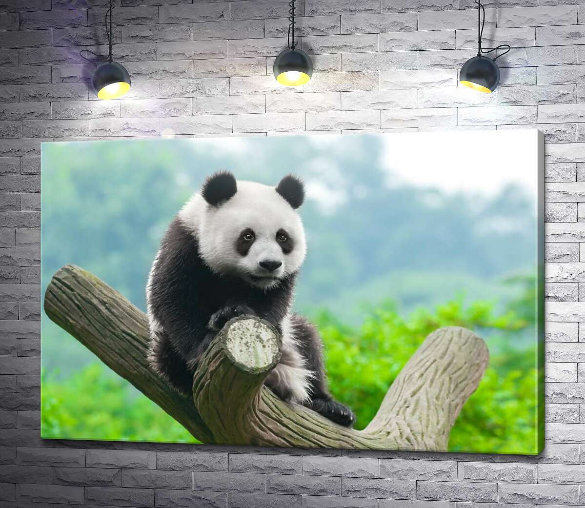 картина Милая панда на ветке