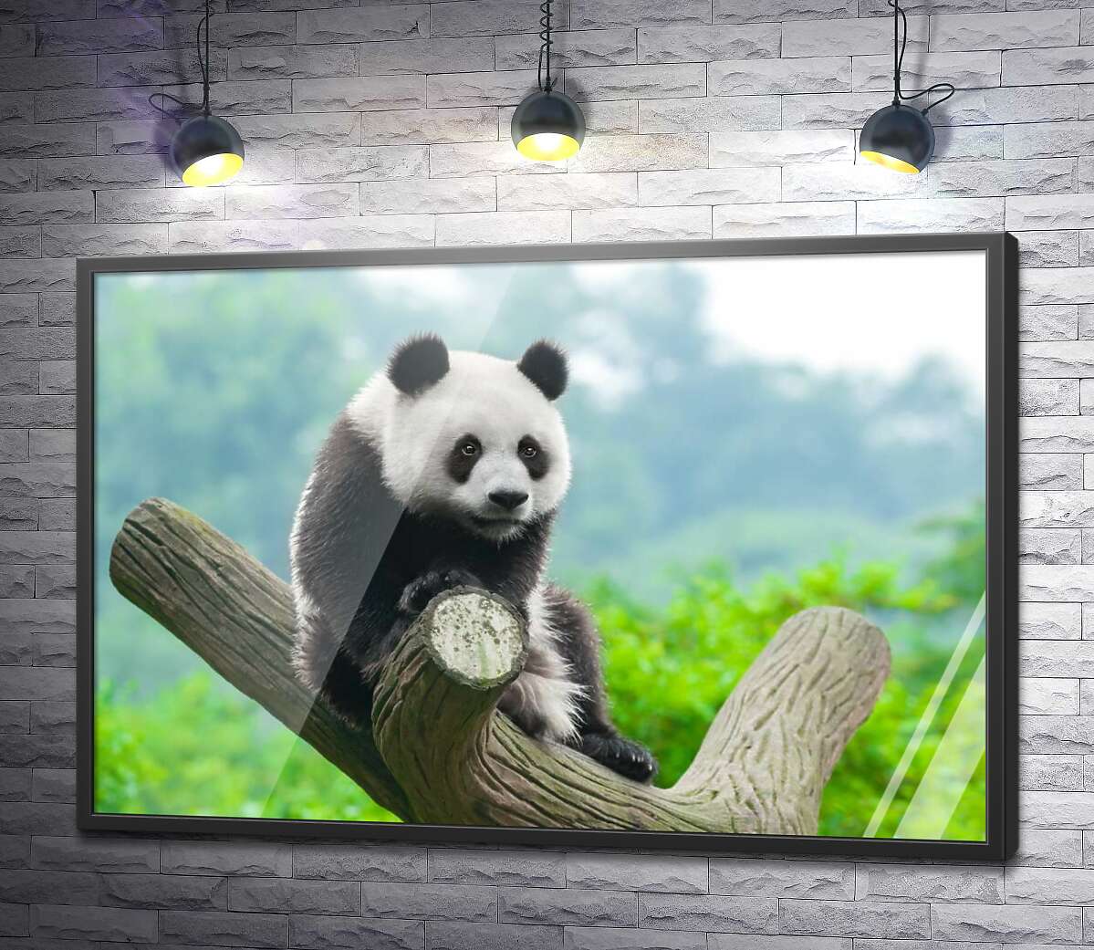 постер Мила панда на гілці