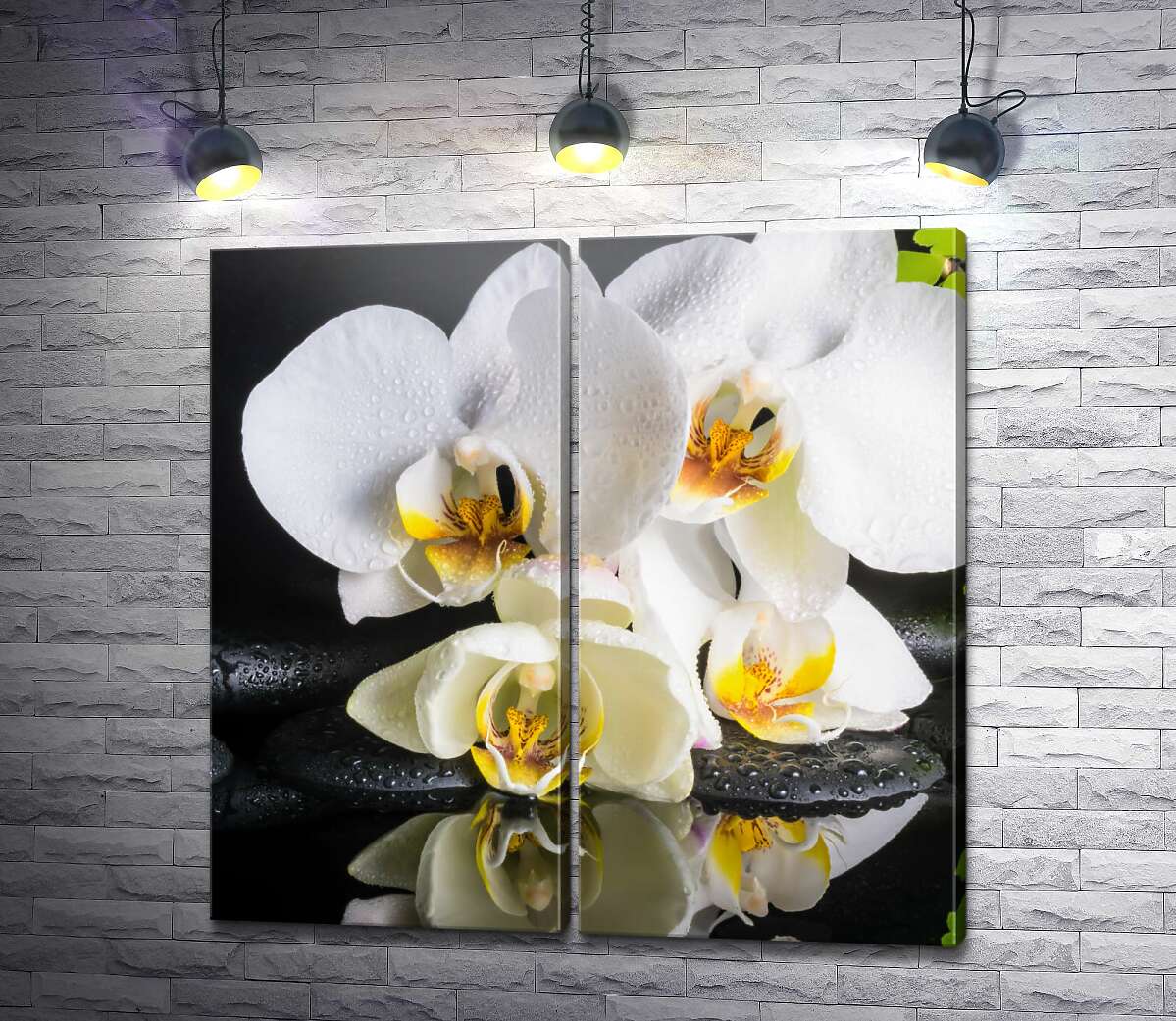 модульная картина Нежная белая орхидея на спа камнях