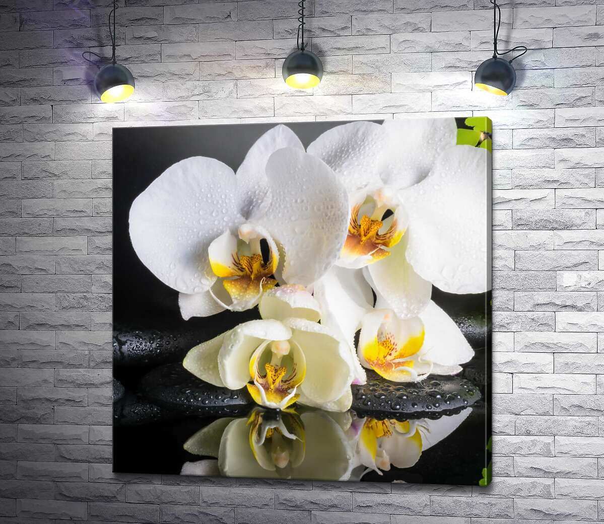 картина Нежная белая орхидея на спа камнях
