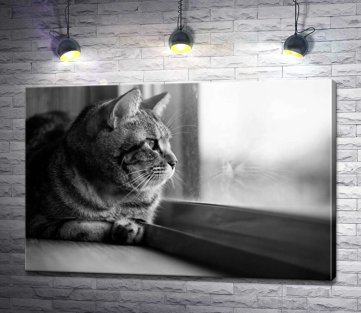 картина Домашний кот смотрит в окно