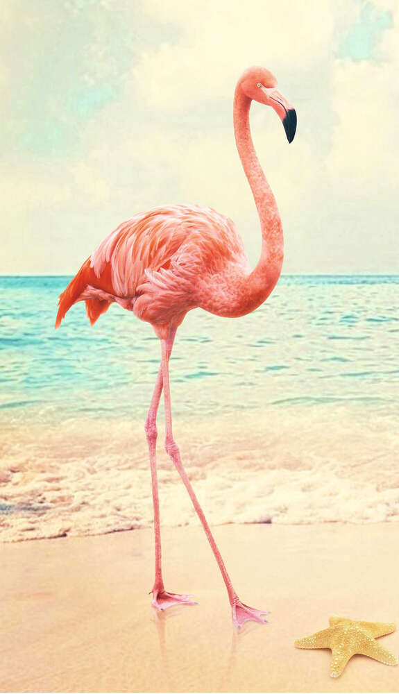 картина-постер Рожевий фламінго на пляжі
