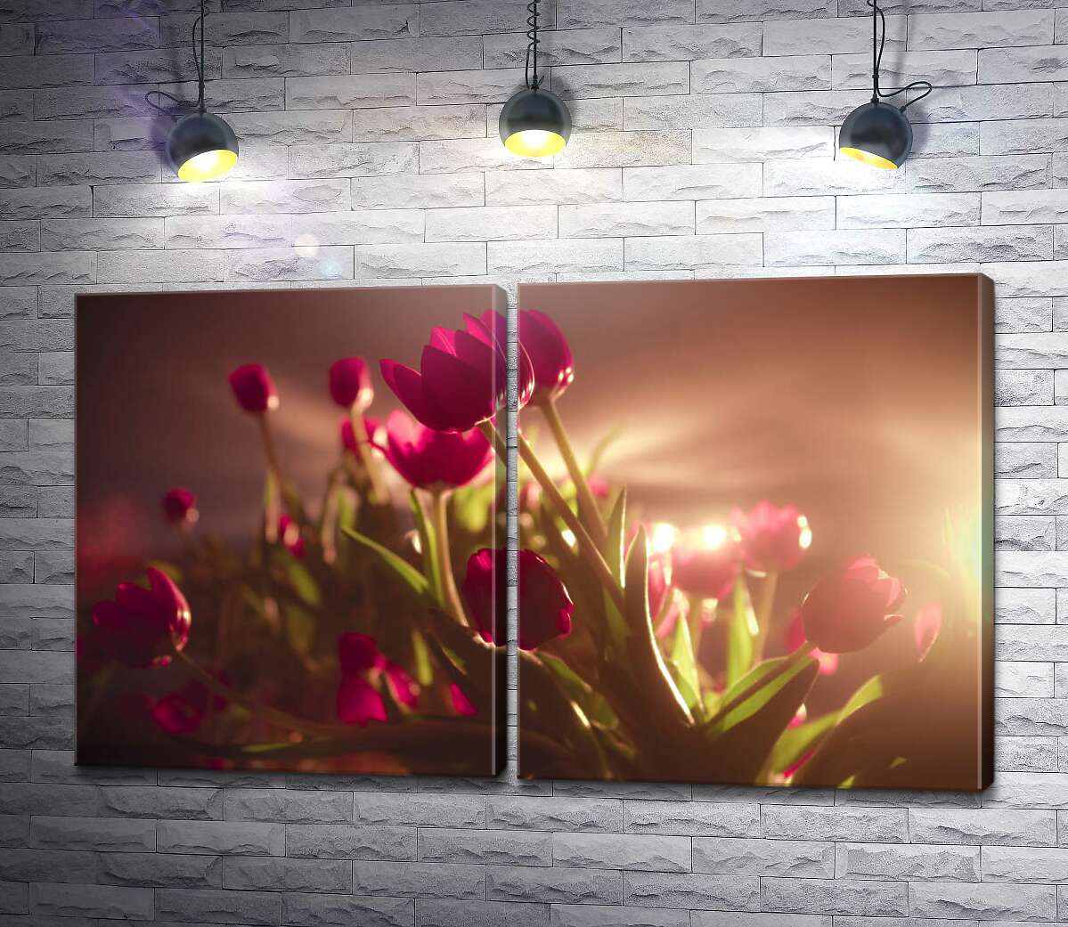 модульная картина Малиновые тюльпаны в свете прожекторов