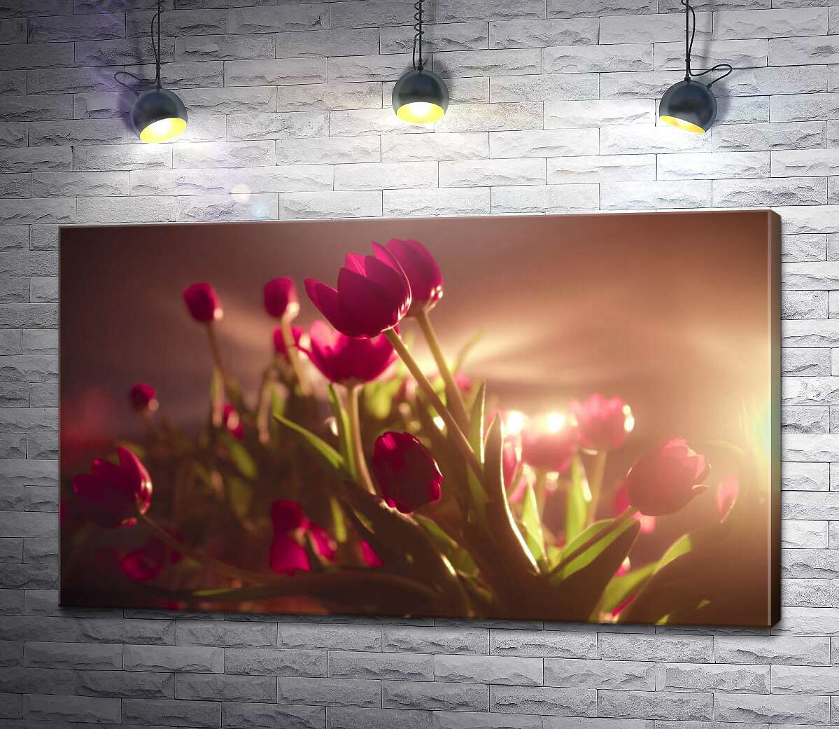 картина Малинові тюльпани в світлі прожекторів