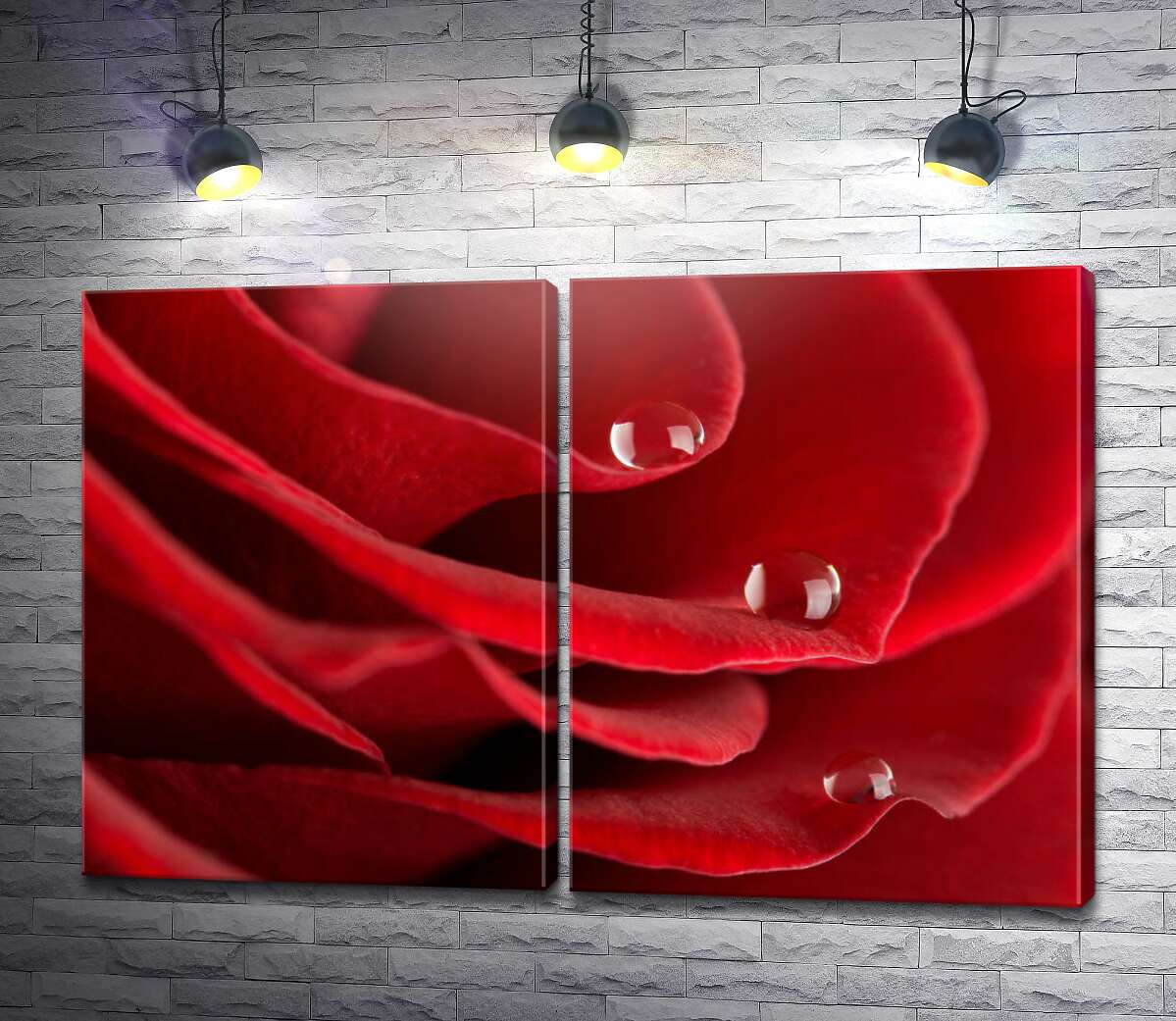 модульна картина Краплі води на трояндових пелюстках