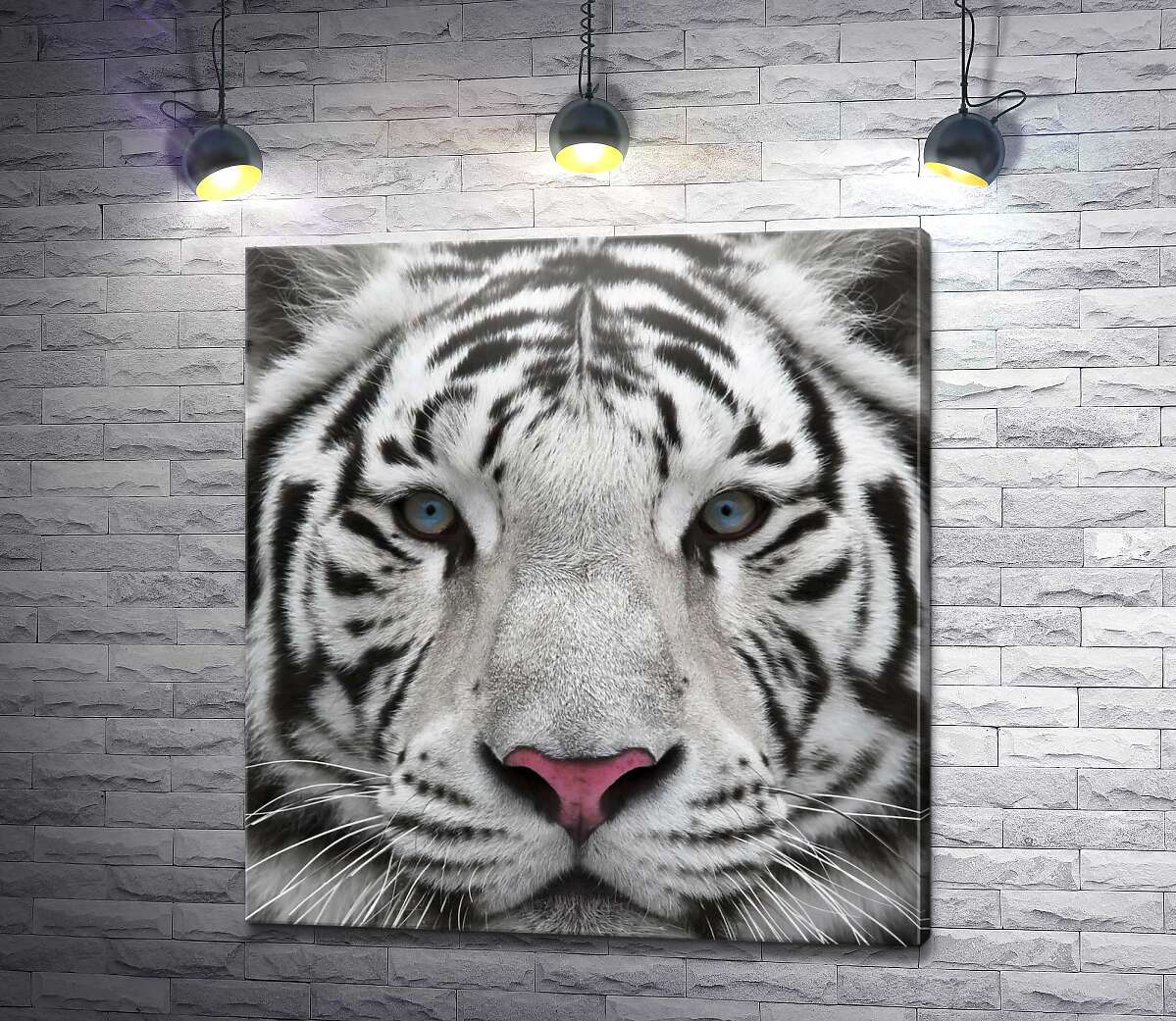 картина Смугаста морда білого тигра