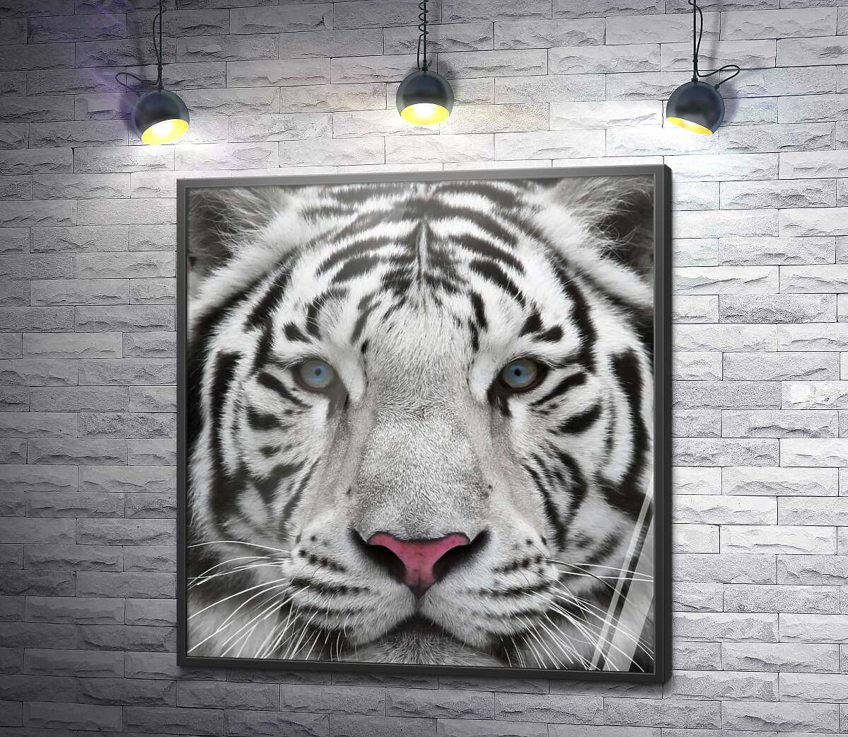 постер Полосатая морда белого тигра