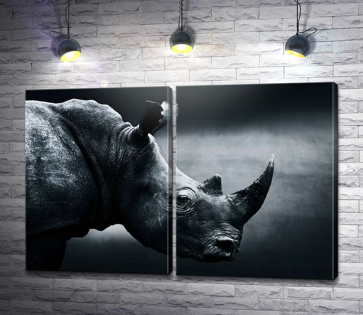 модульна картина Чорно-білий портрет носорога