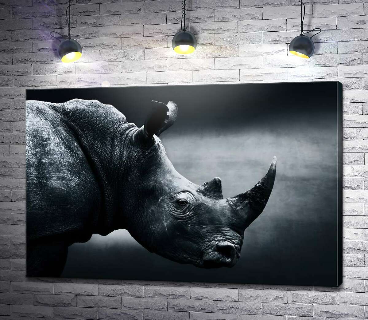 картина Черно-белый портрет носорога
