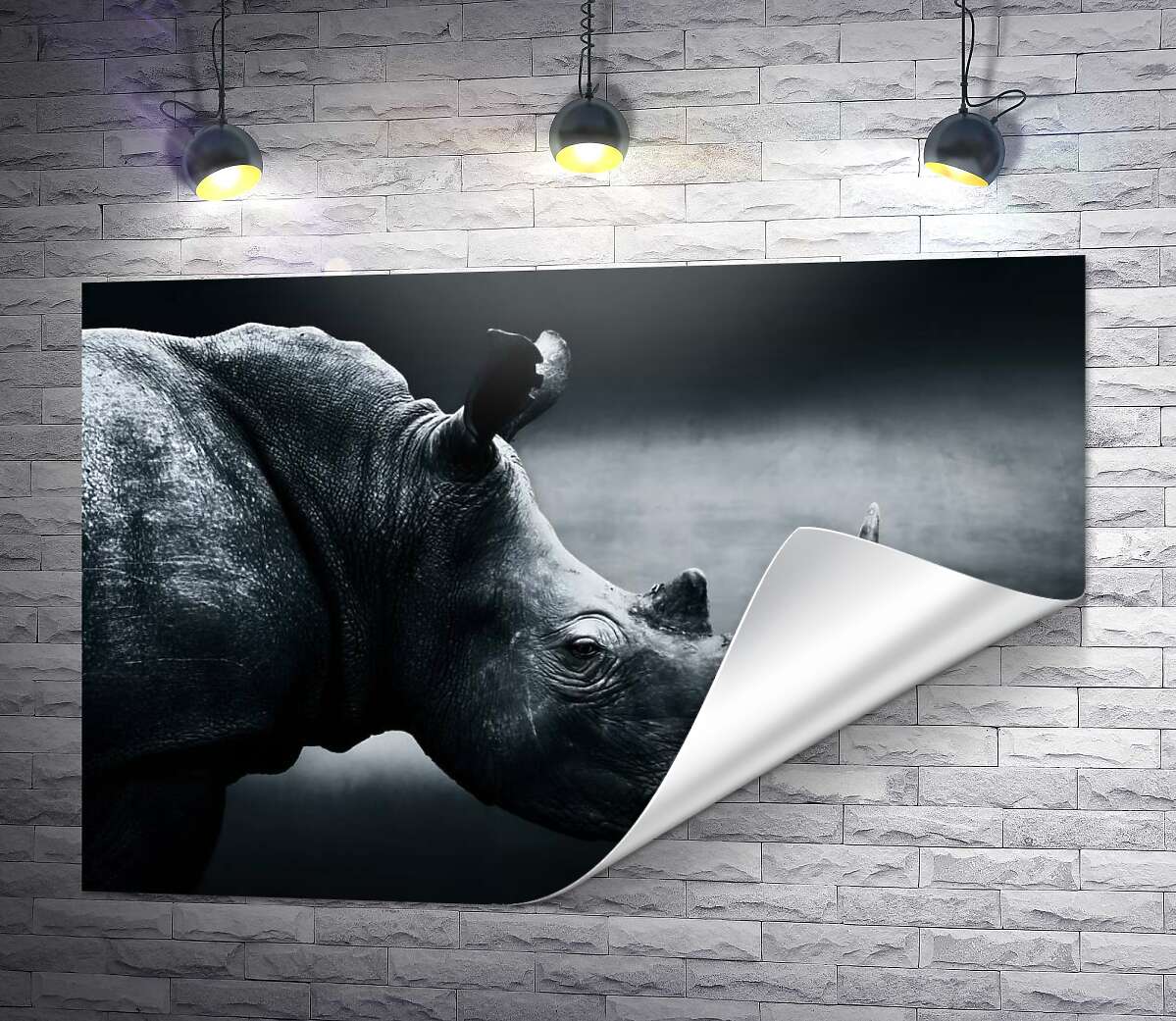 друк Чорно-білий портрет носорога