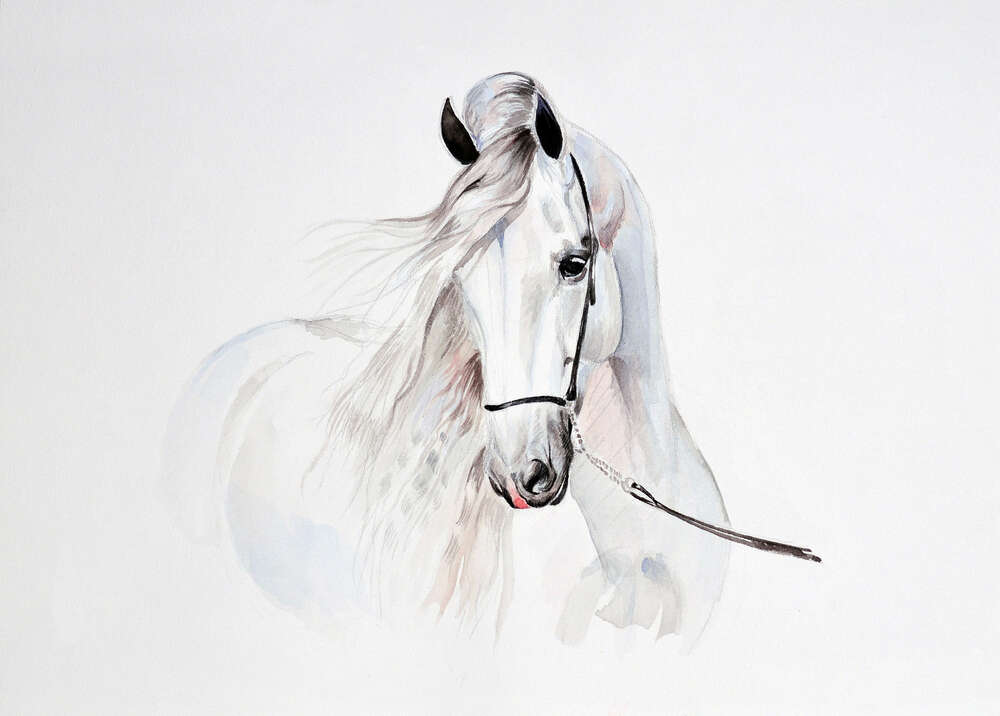 картина-постер Полупрозрачный образ белой лошади