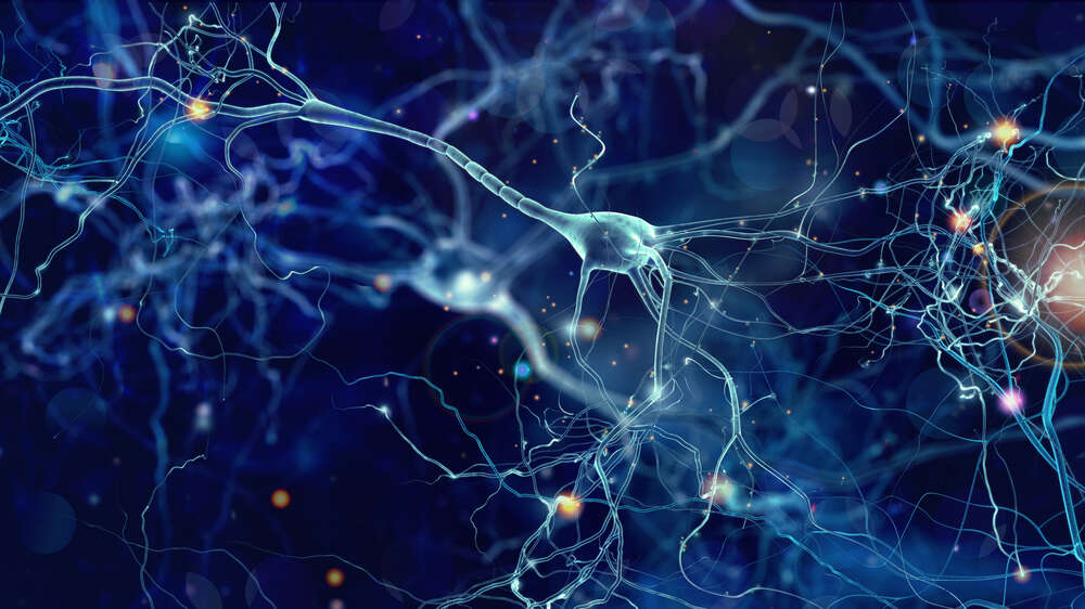картина-постер Объемное изображение нервной клетки