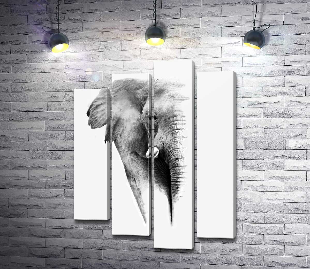 модульна картина Чорно-білий портрет слона (Модуль №3)
