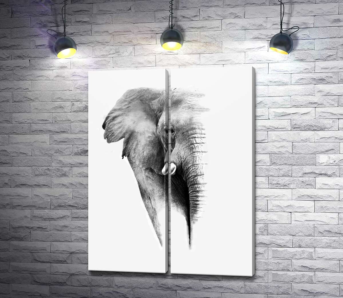 модульная картина Черно-белый портрет слона