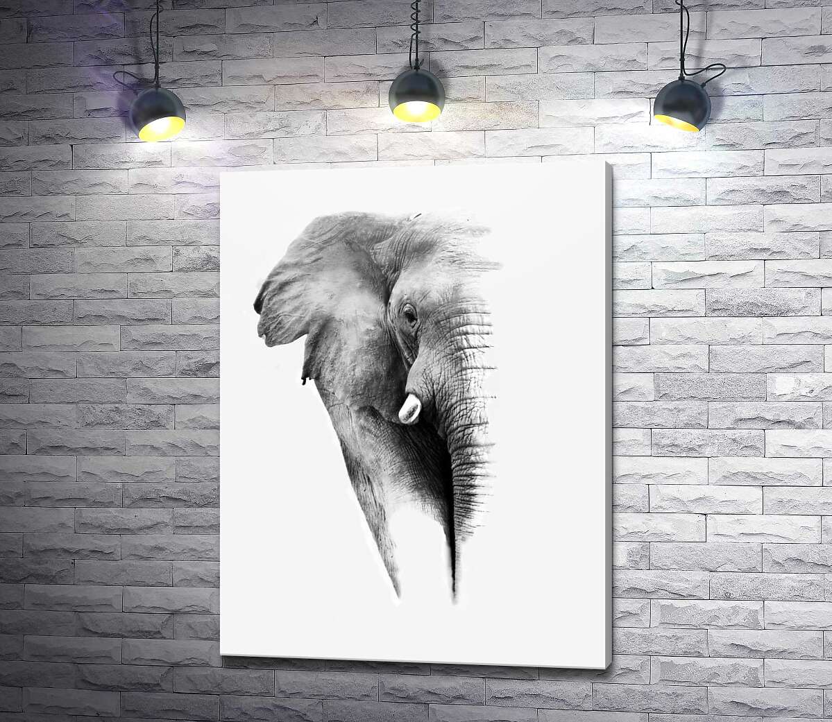 картина Чорно-білий портрет слона