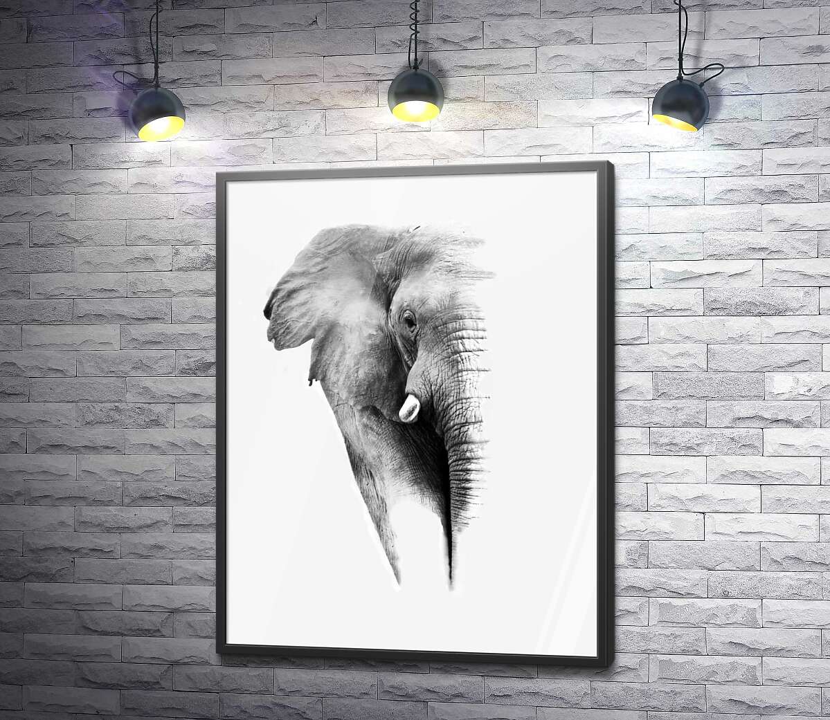 постер Чорно-білий портрет слона