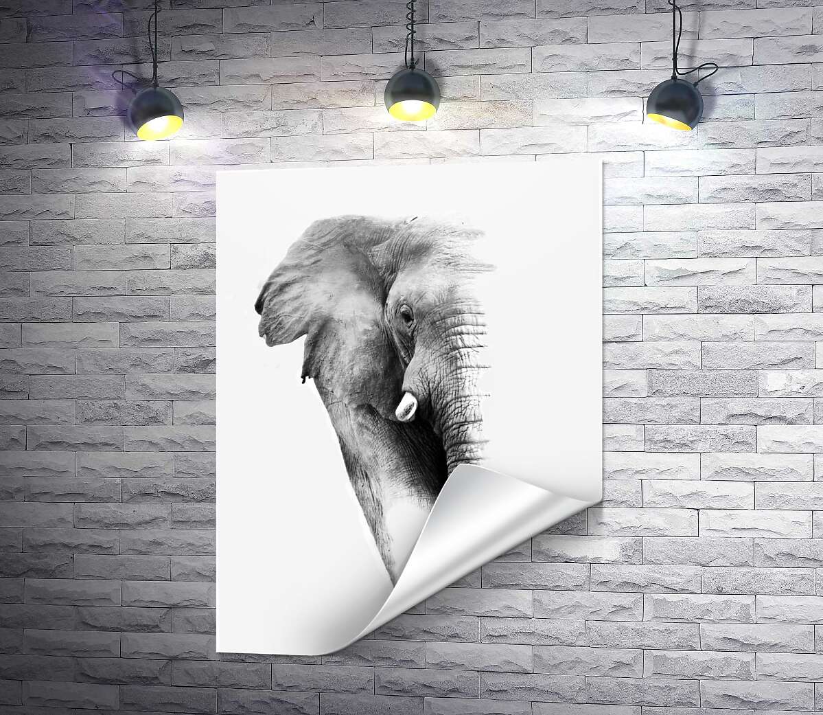 печать Черно-белый портрет слона