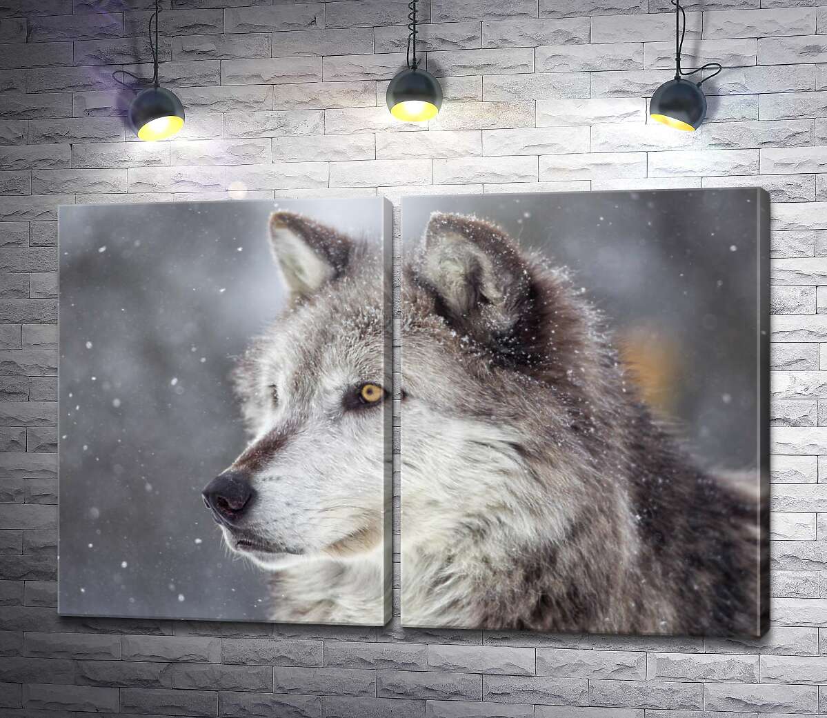 модульная картина Мохнатый серый волк увлеченный охотой