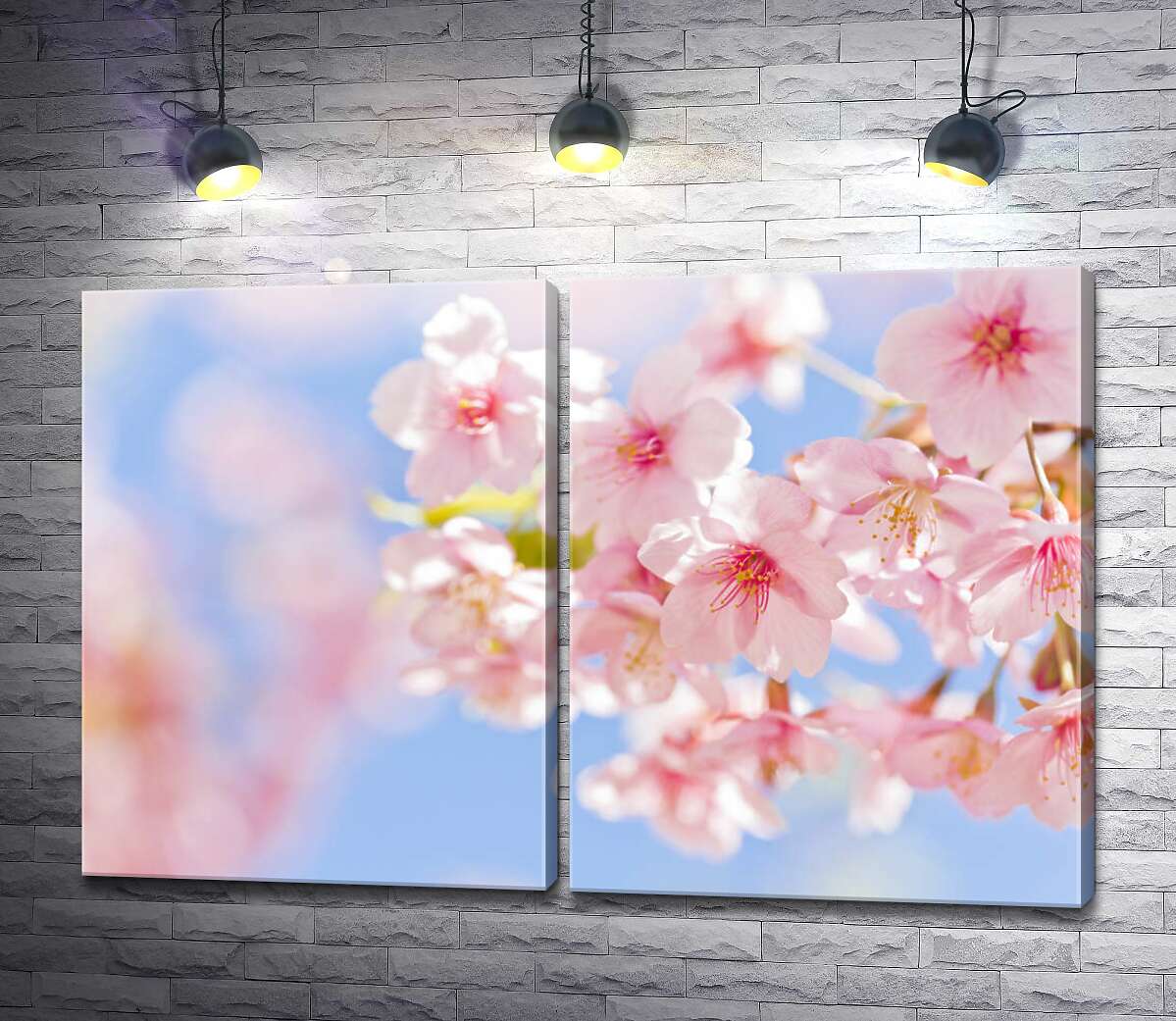 модульная картина Нежные цветы сакуры
