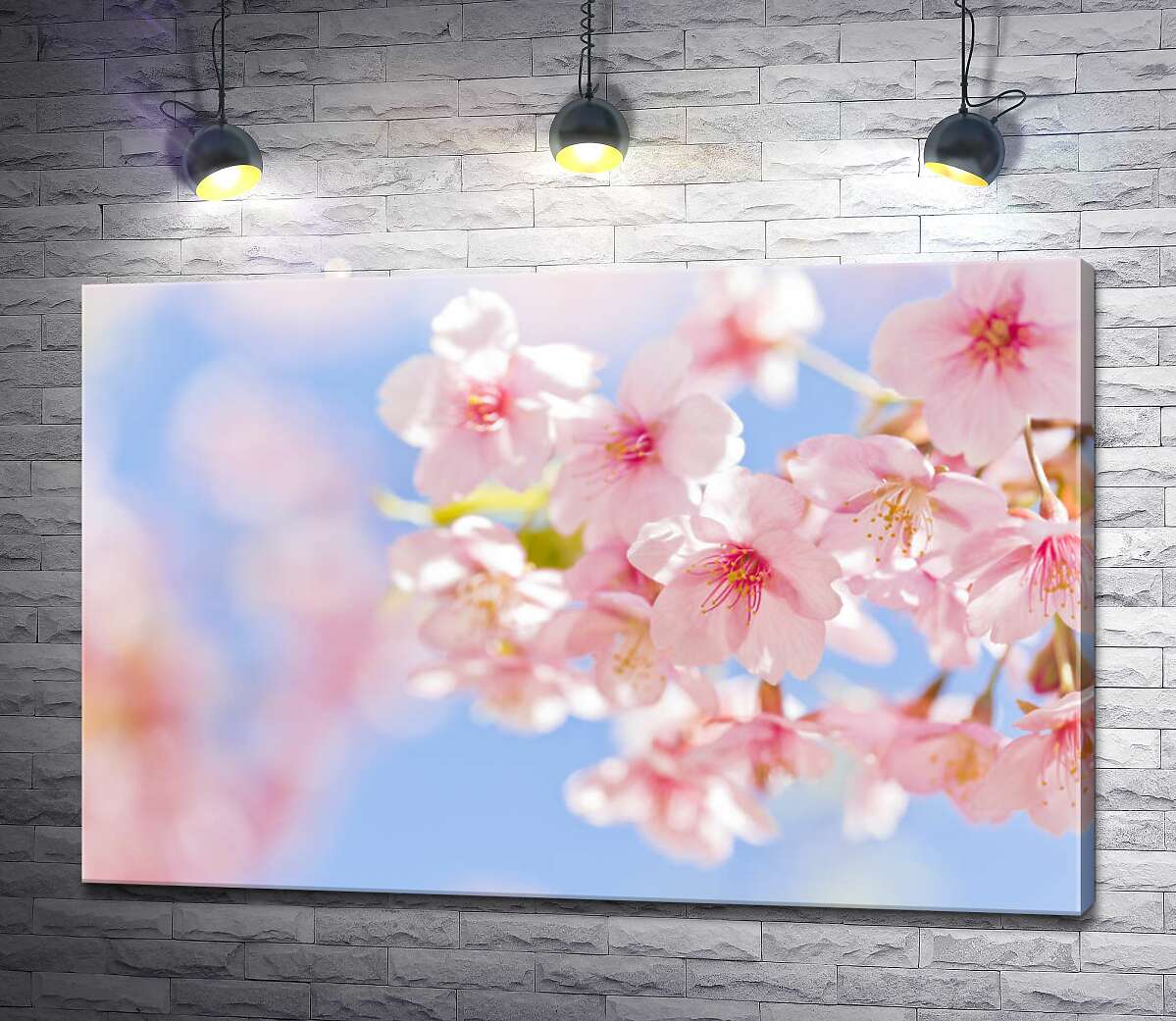 картина Нежные цветы сакуры