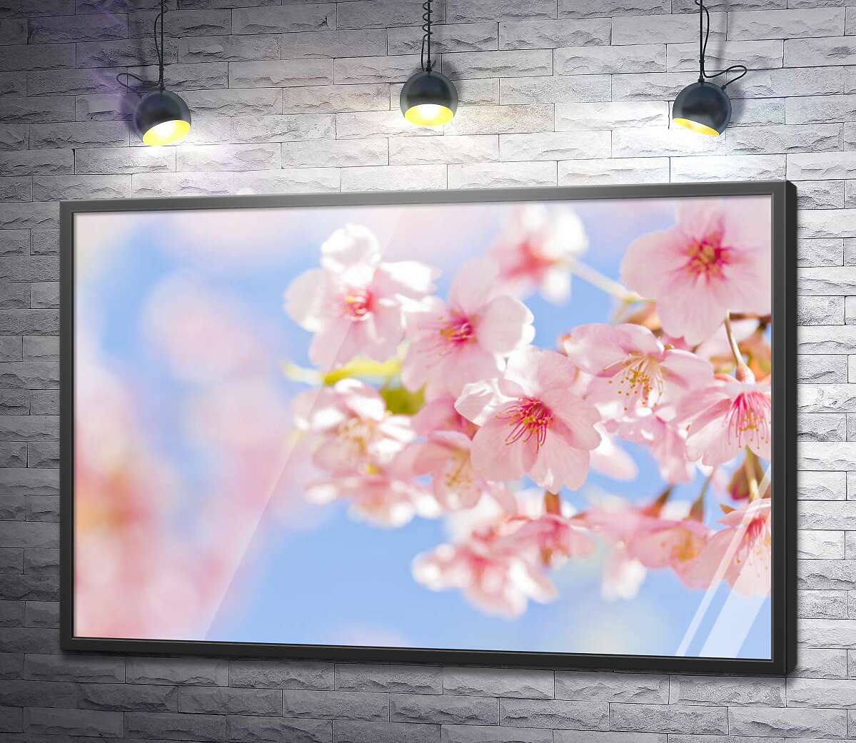 постер Ніжні квіти сакури