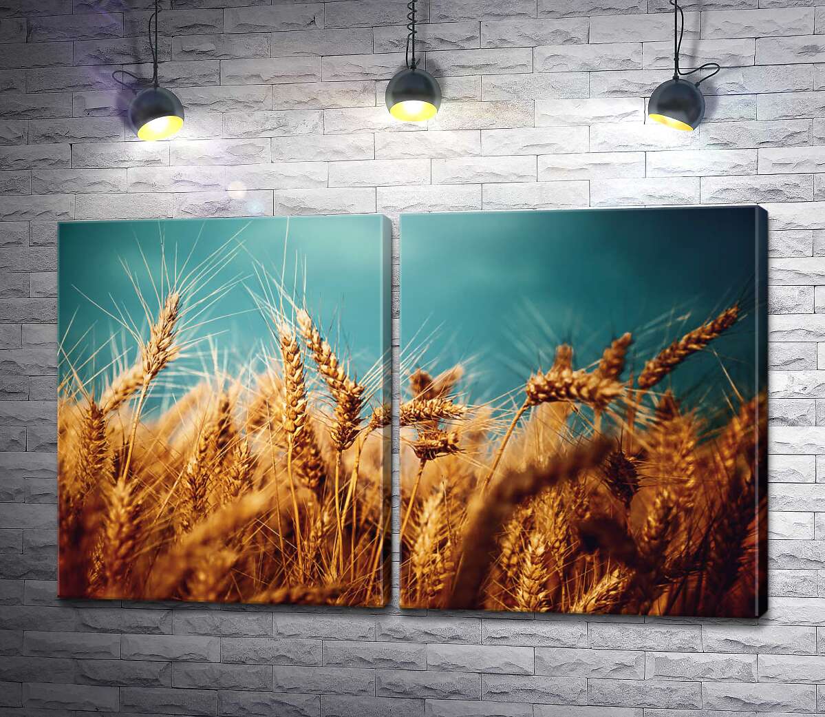 модульна картина Стиглі золоті колоски пшениці