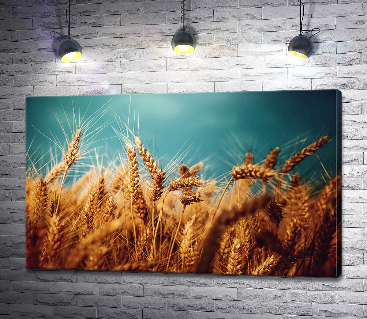 картина Спелые золотые колосья пшеницы