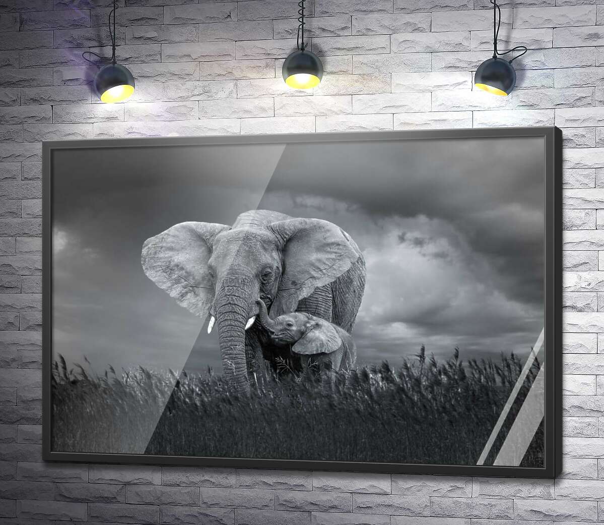 постер Слон и слоненок в пасмурный день