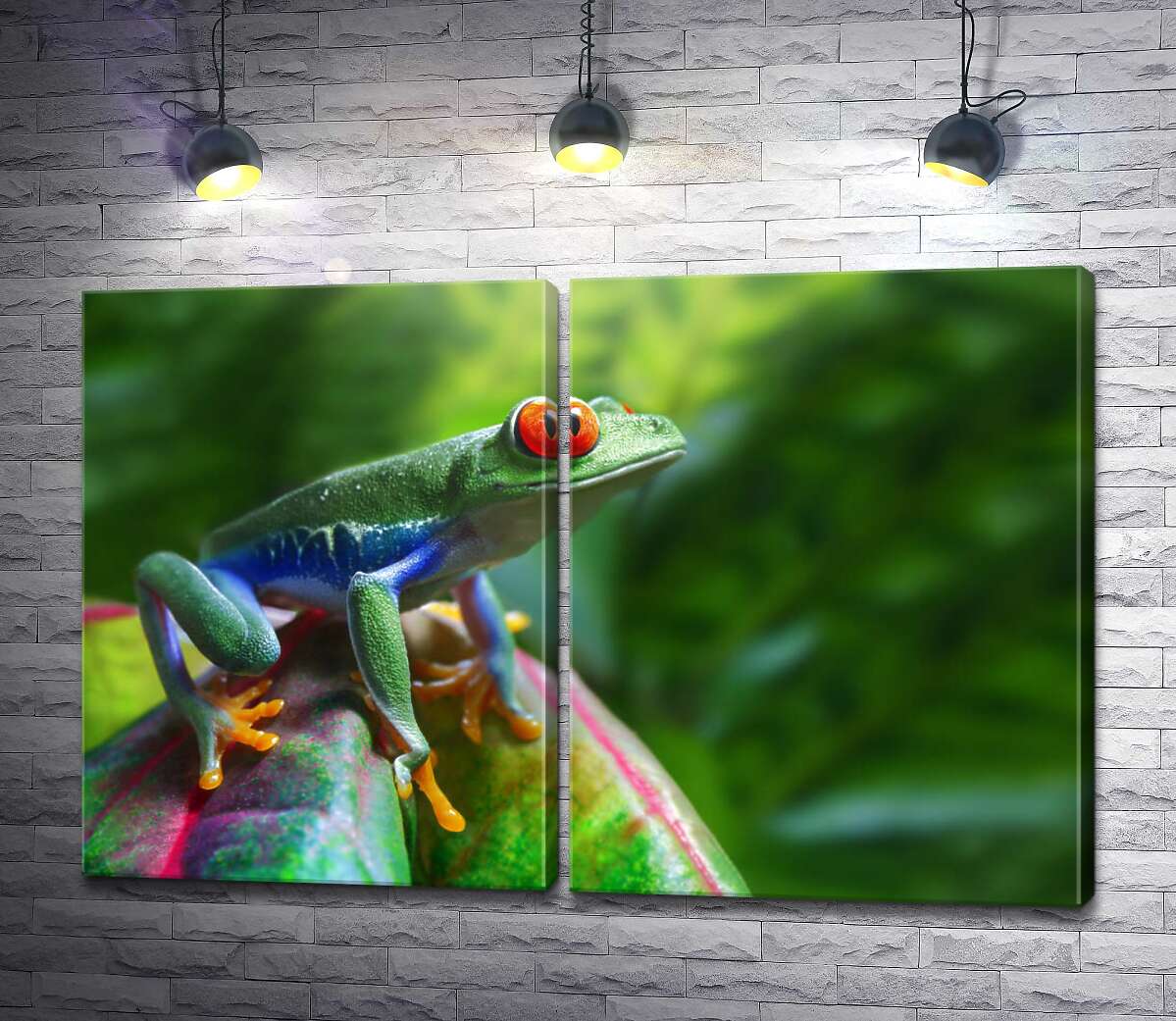 модульная картина Яркая лягушка красноглазая квакша