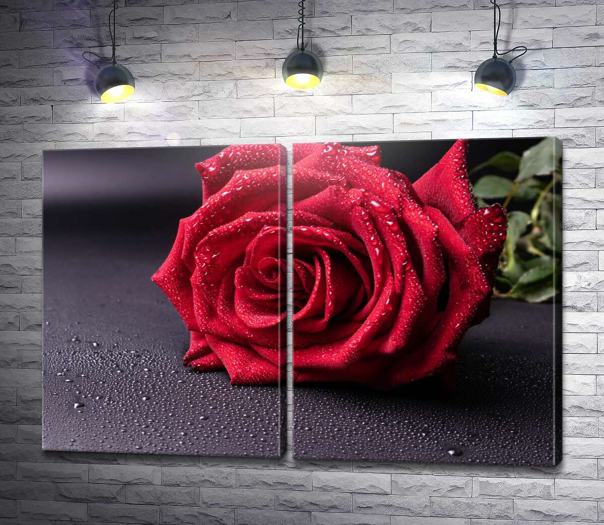 модульна картина Червона троянда в краплях води