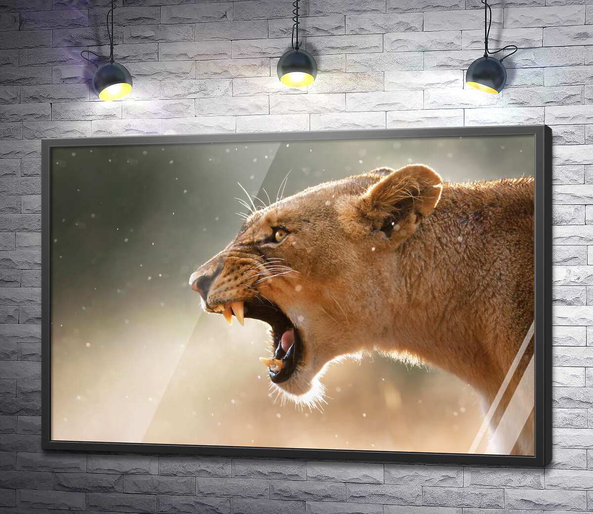 постер Грозное рычание львицы