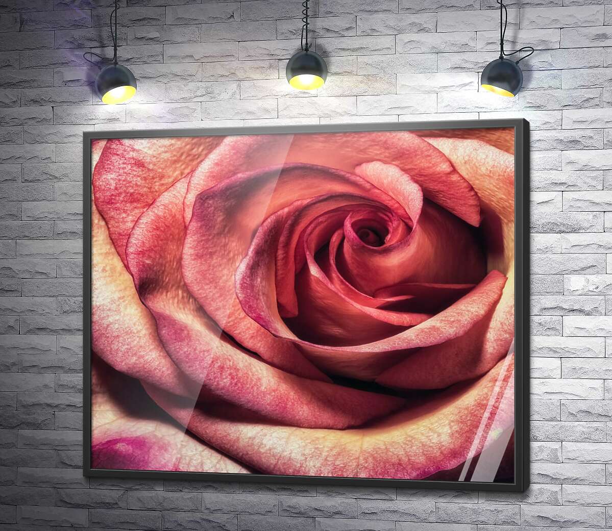 постер Пятнистый бутон розы