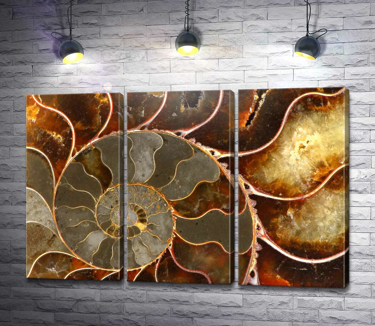 модульна картина Абстрактна спіраль наутілуса (Модуль №2)