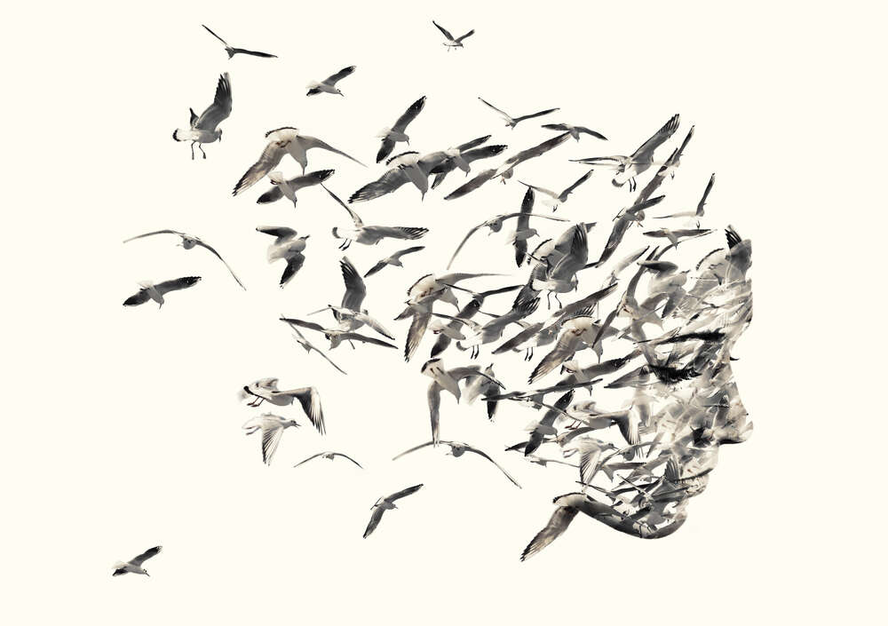 картина-постер Образ дівчини з птахів