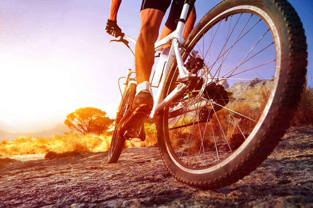 картина-постер Колесо велосипеда крупним планом