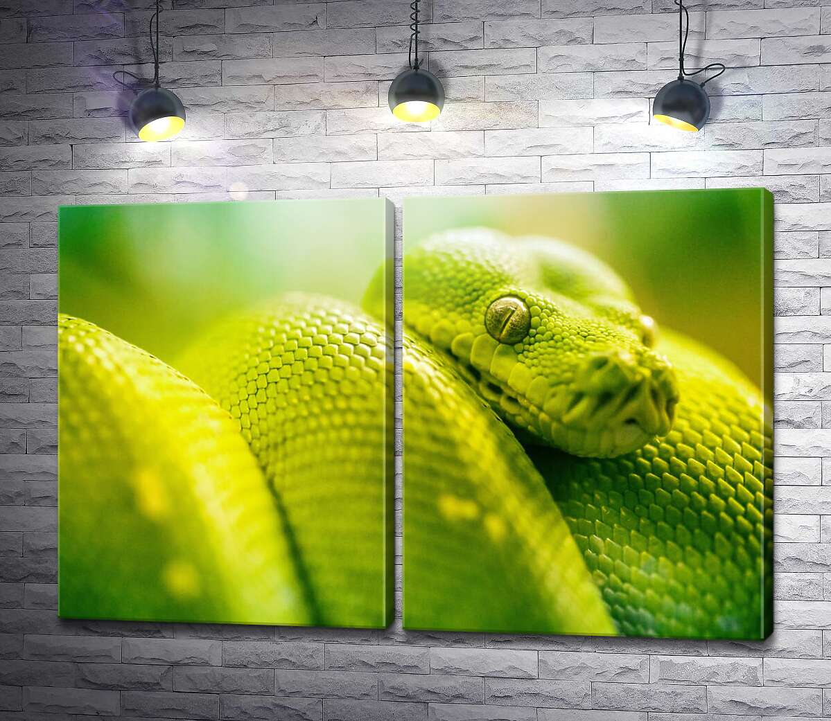 модульная картина Ярко-зеленая гремучая змея