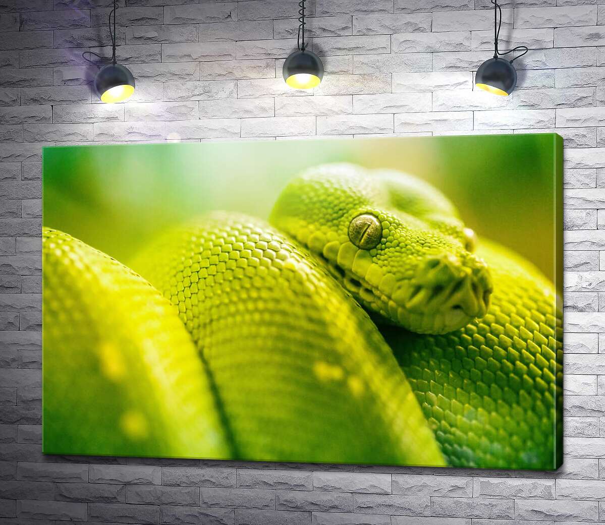картина Яскраво-зелена гримуча змія