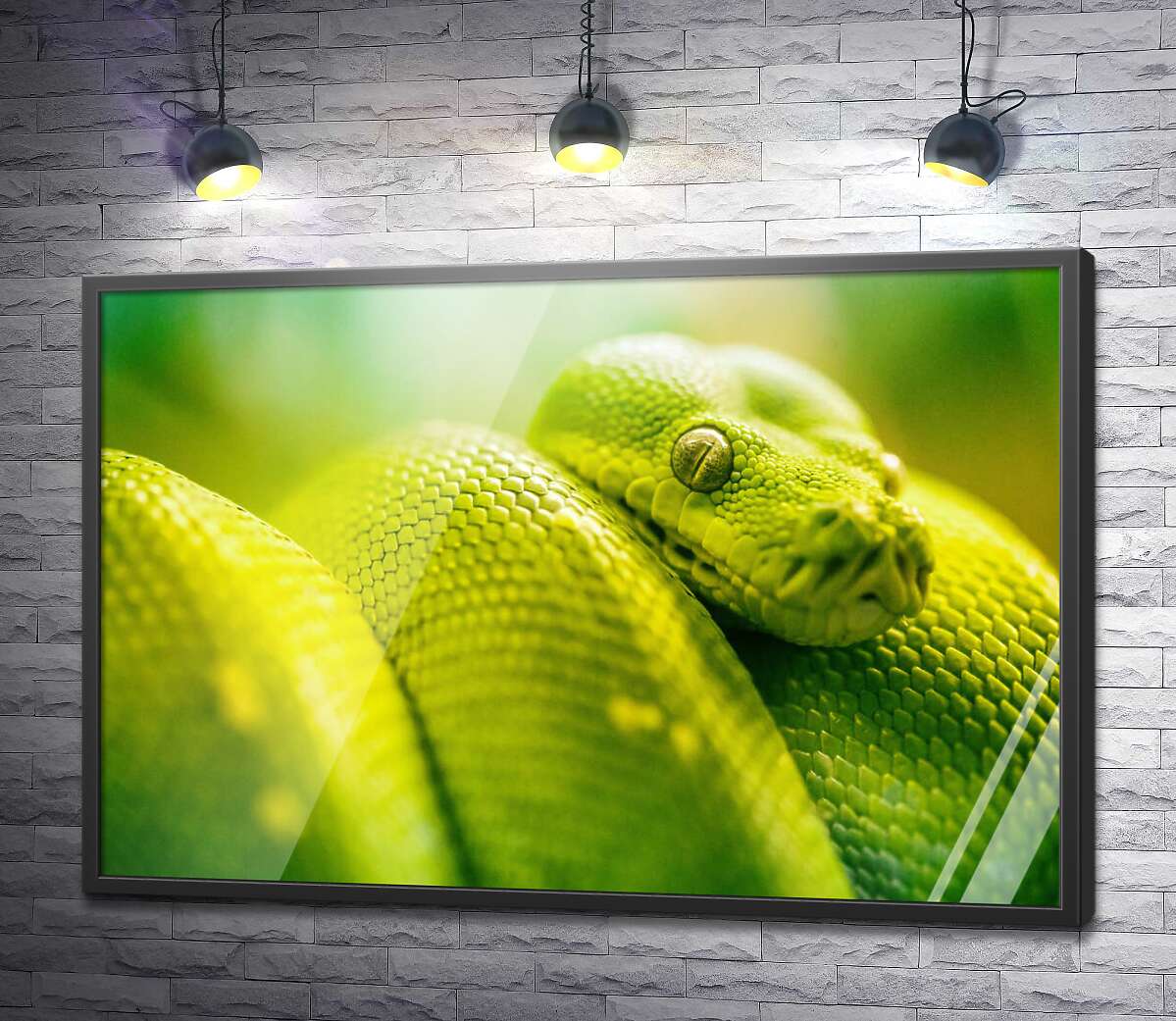 постер Яскраво-зелена гримуча змія