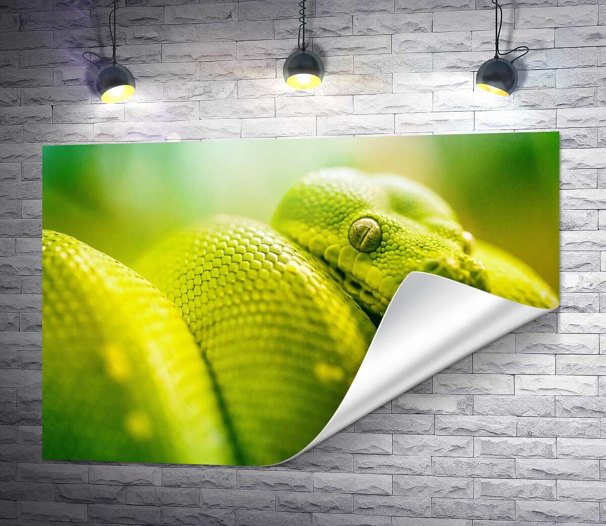 друк Яскраво-зелена гримуча змія