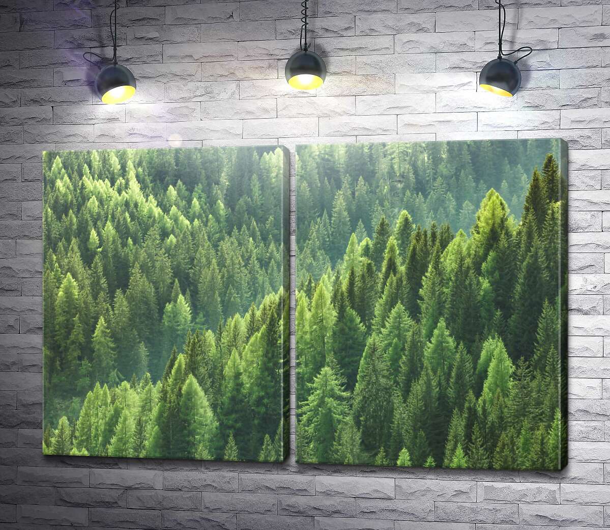 модульная картина Верхушки зеленых сосен в густом лесу