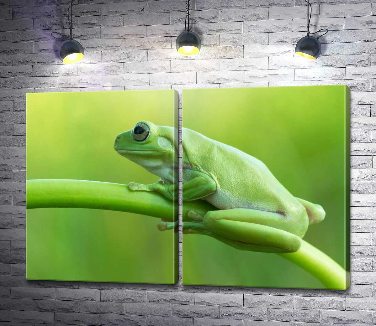 модульная картина Зеленая лягушка на стебле
